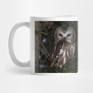 Saw-whet Owl Mug